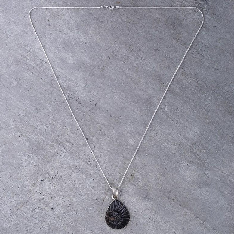 Drop Pleuroceras Silver Pendant