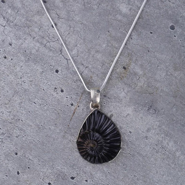 Drop Pleuroceras Fossil Pendant