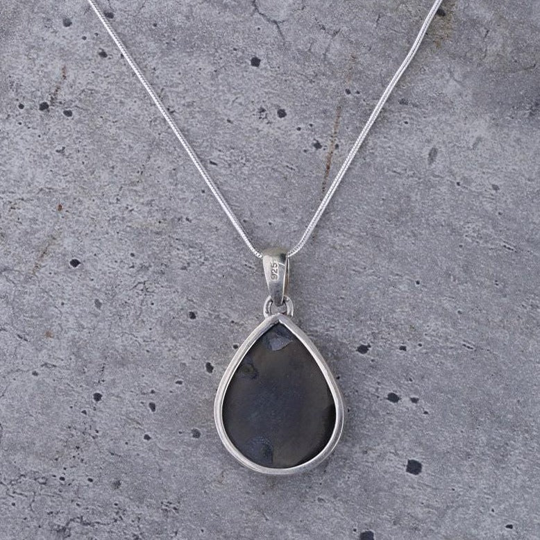 Pleuroceras Fossil Pendant ack View