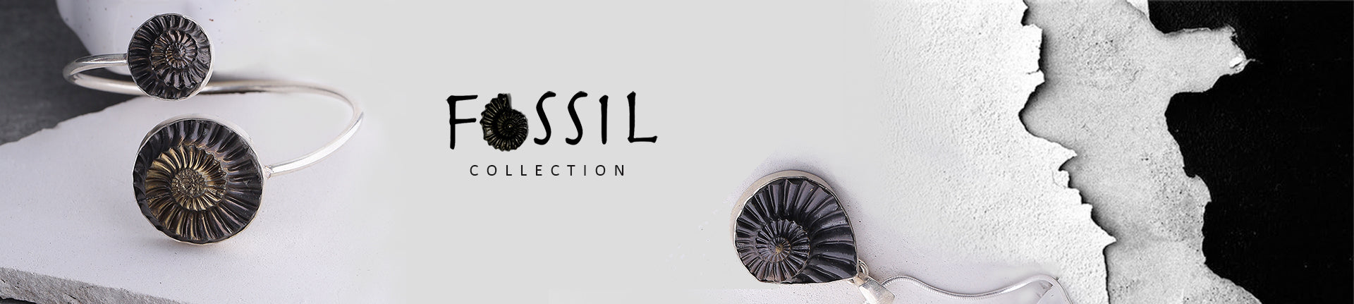 Banner for Fossil Collection based on Ammonites