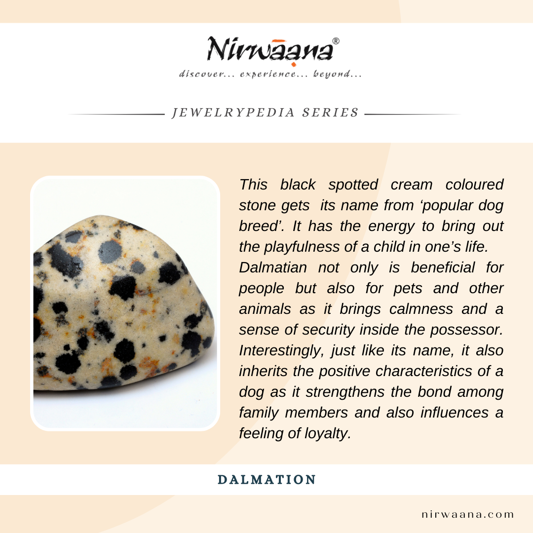 All About Dalmation Stone