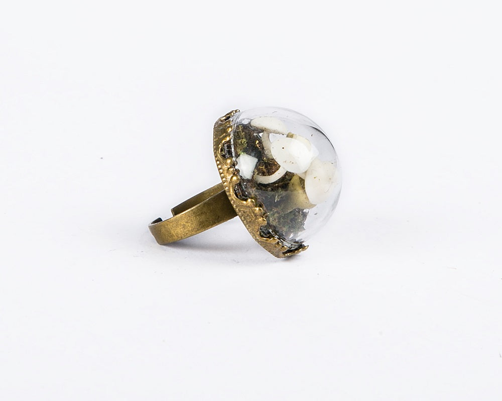 Dome shaped glass ring