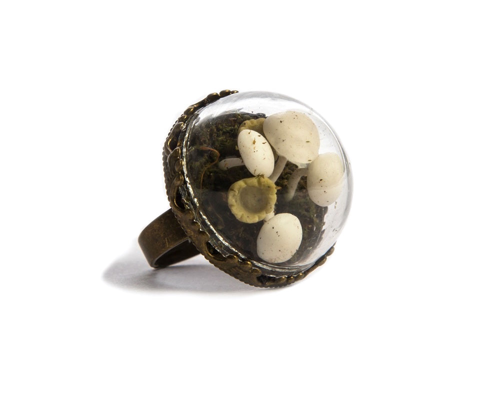 Miniature mushroom farm ring
