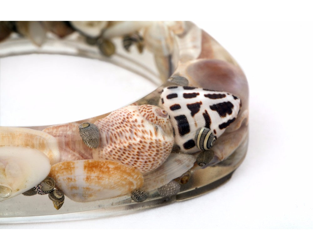 Earthy color SeaShell jewelry